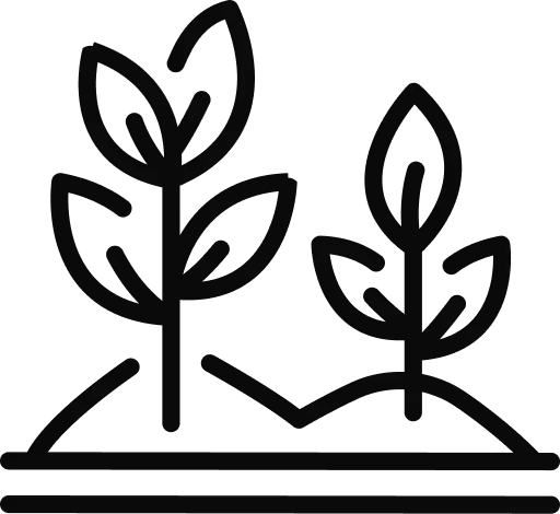 Plantation On All sides